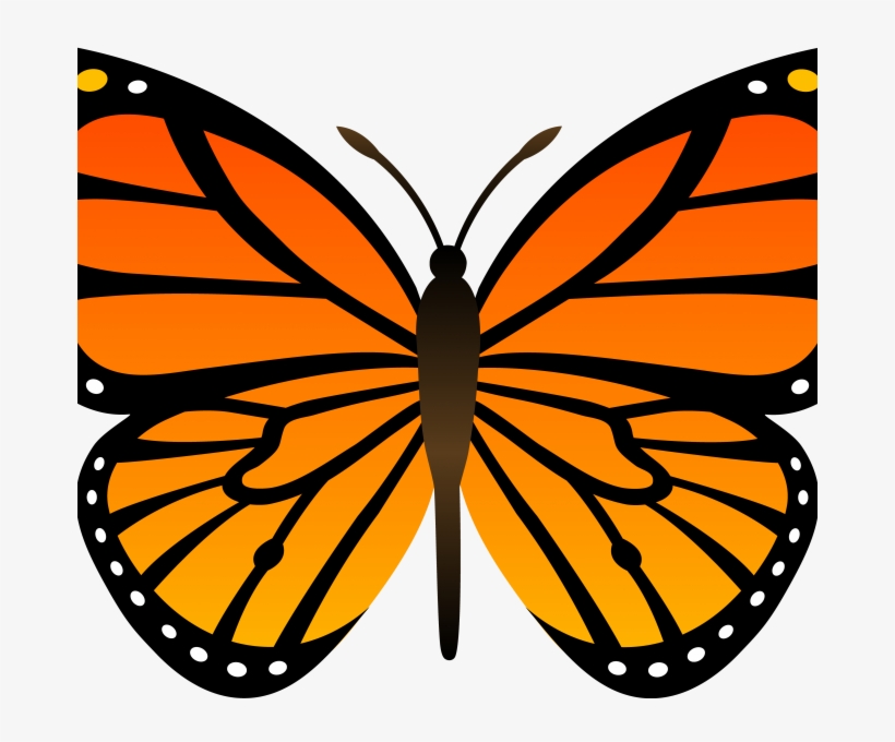 Cartoon Butterfly Image - Butterflies Download, transparent png download