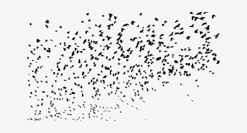 Large Flock Of Birds Png, transparent png download