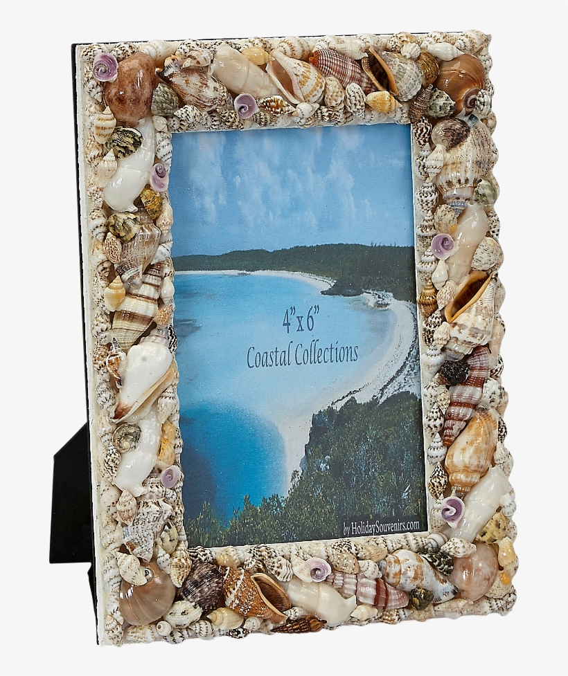 Assorted Shells Photo Frame 8x10" - Picture Frame, transparent png download