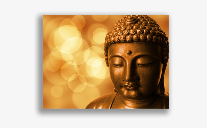 Meditation And Mindfulness - Dhammapada 179, transparent png download