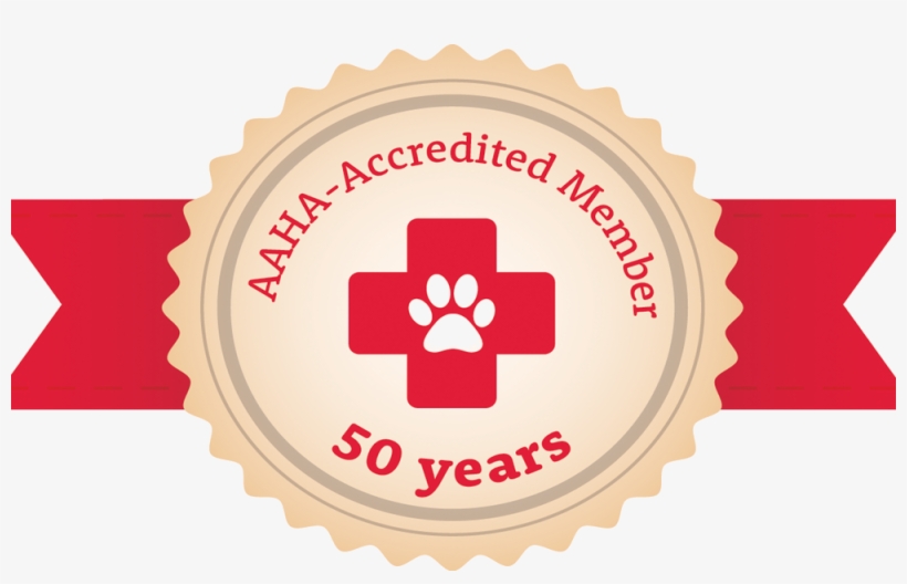 Connect To Us Through Your Petly Page - New Baltimore Animal Hospital, transparent png download