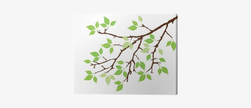 Vector Tree Branch With Leaves Canvas Print • Pixers® - Cliparts Tree Branch, transparent png download