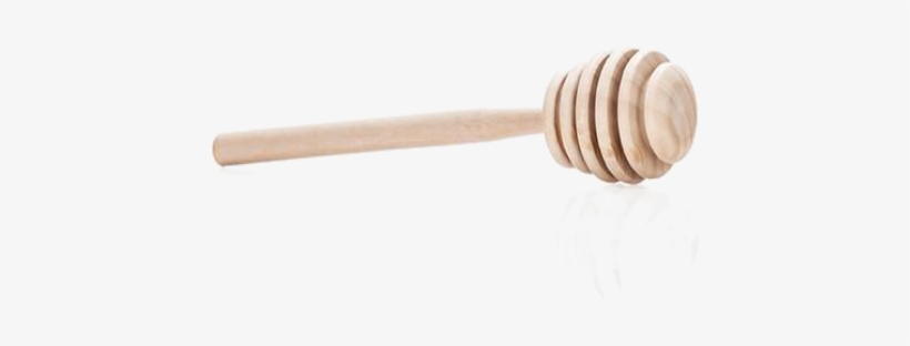 Cricket, transparent png download
