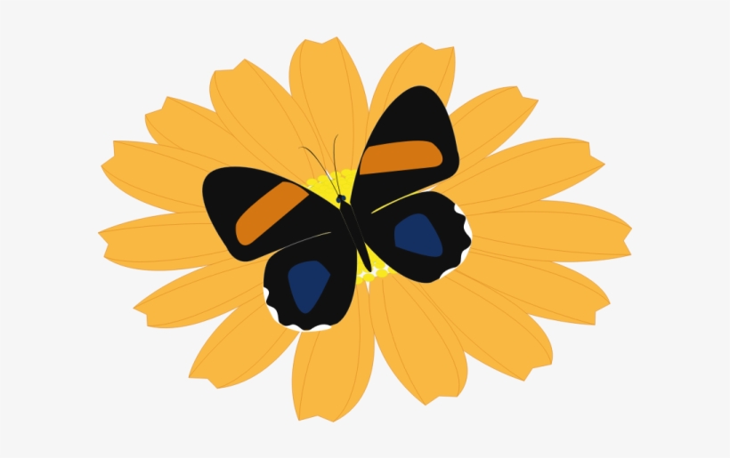 Round & Low Centerpiece - - Butterfly On Flower Shower Curtain, transparent png download