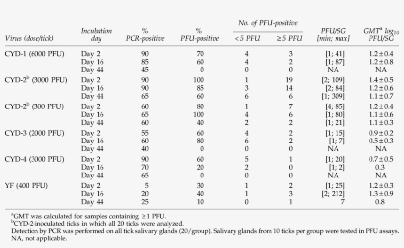 Cyd 1 4 And Yf17d Virus Detection In Salivary Glands - Document, transparent png download
