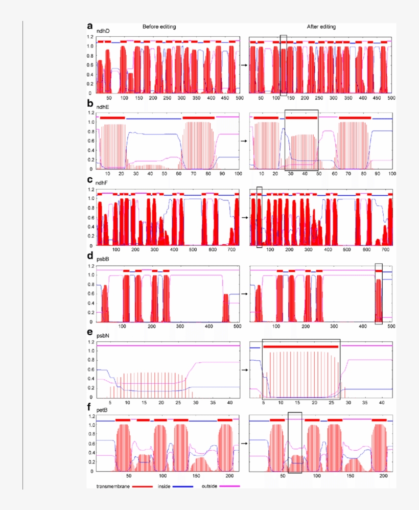 The Changes In Transmembrane Regions After Editing - Coquelicot, transparent png download