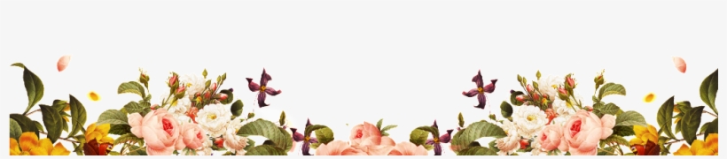 Flower Background - Rosa Centifolia, transparent png download