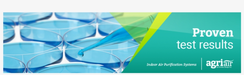 Http - Pollen, transparent png download