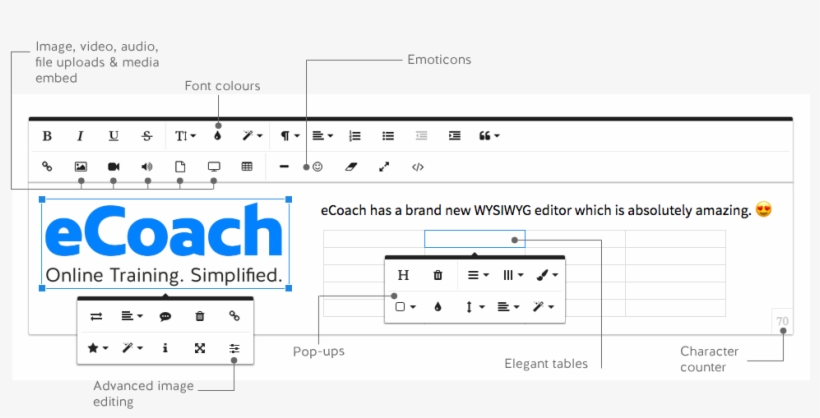 Ecoach Has A New Wysiwyg Text Editor And Not Only Is - Computer Program, transparent png download