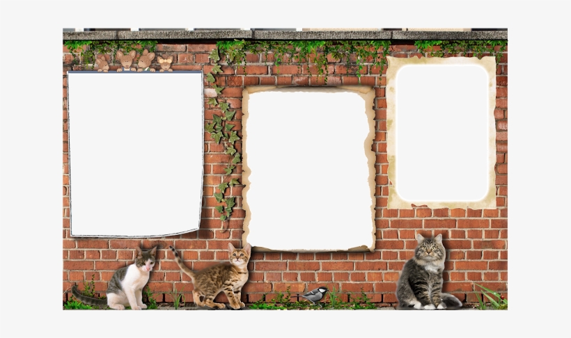 Les Mains Dans La Tête - Picture Frame, transparent png download