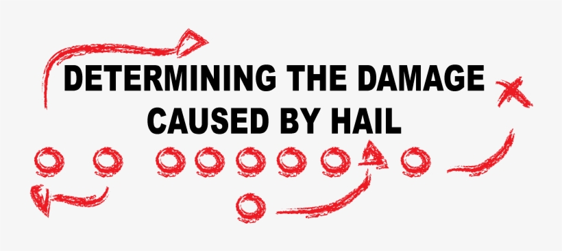 Determining The Damage Caused By Hail - Ergomat - Durastripe Rectangular Peel & Stick Floor, transparent png download