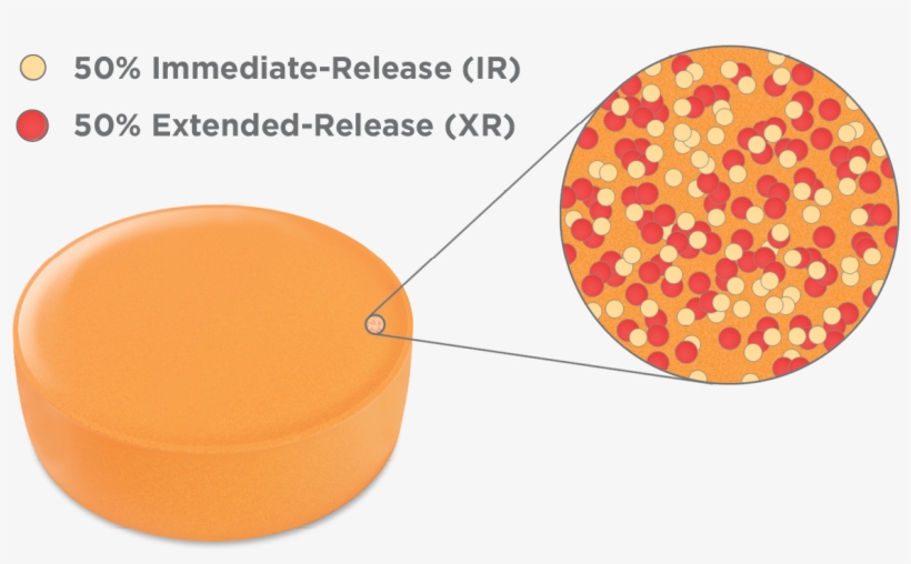 Diagram Illustrating Percentage Of Immediate And Extended - Microparticle, transparent png download