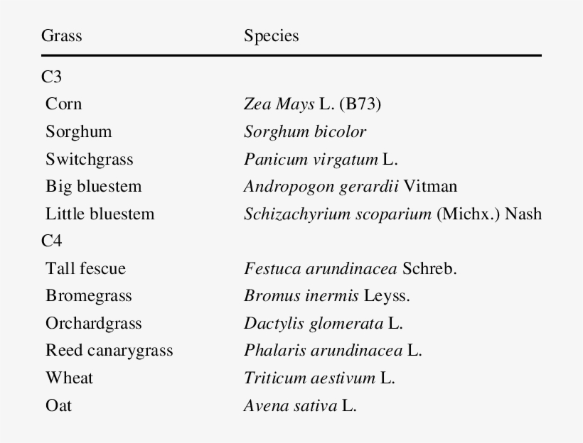 Complete List Of C3 And C4 Grass Materials Used In - C3 Carbon Fixation, transparent png download