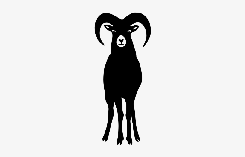 Sheep Goat Mountain Ram Horn Horns Aries Jumbock Bighorn - Kabron - Santiago Cortes - Download, transparent png download