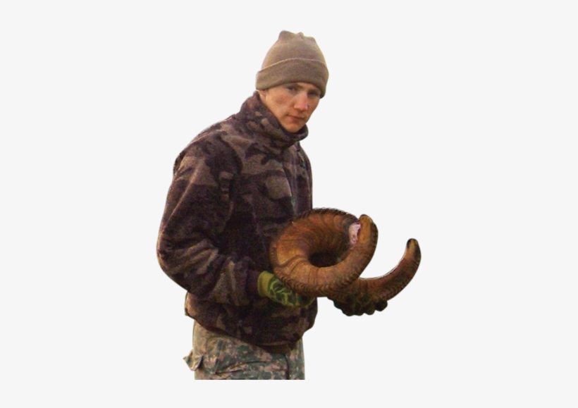 Dall Ram, Sheep Hunting, Ram Hunting, Dall Sheep Hunting, - Sheep, transparent png download