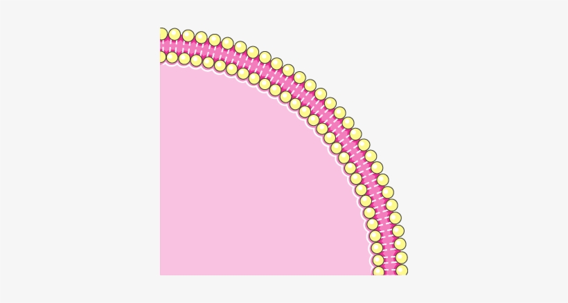 Download The Image - Buckle, transparent png download