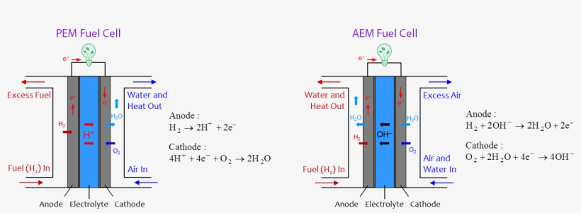 Namely Proton Exchange Membrane Fuel Cells And Anion - Proton Exchange Membrane Fuel Cell Reaction, transparent png download