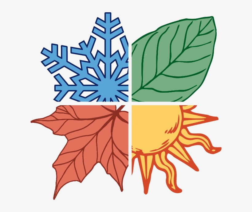 Bigbolo Chocolate Brown Plastic Table Roll, transparent png download