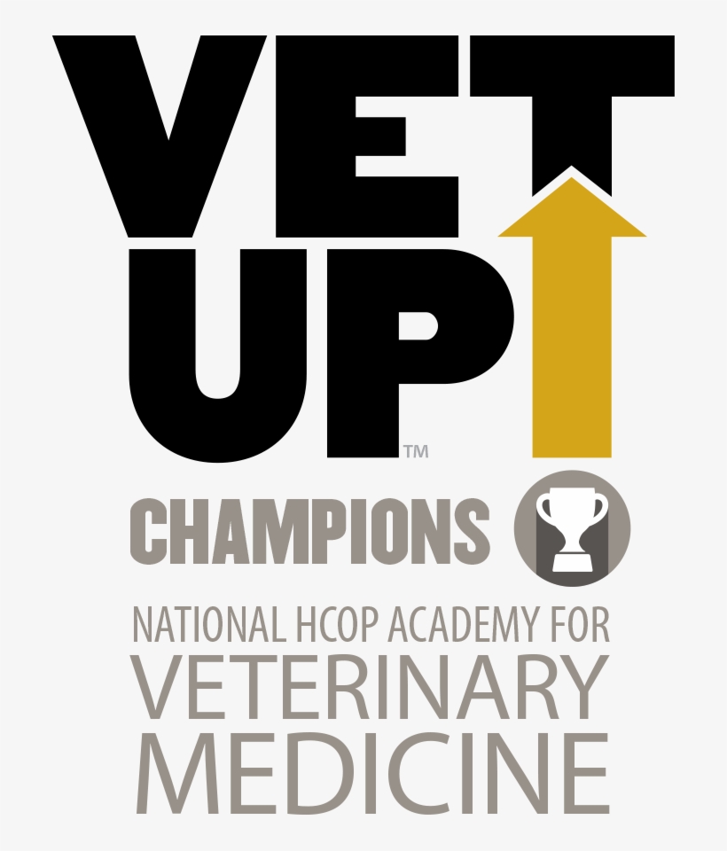 Applications Undergoing Review - Champion, transparent png download