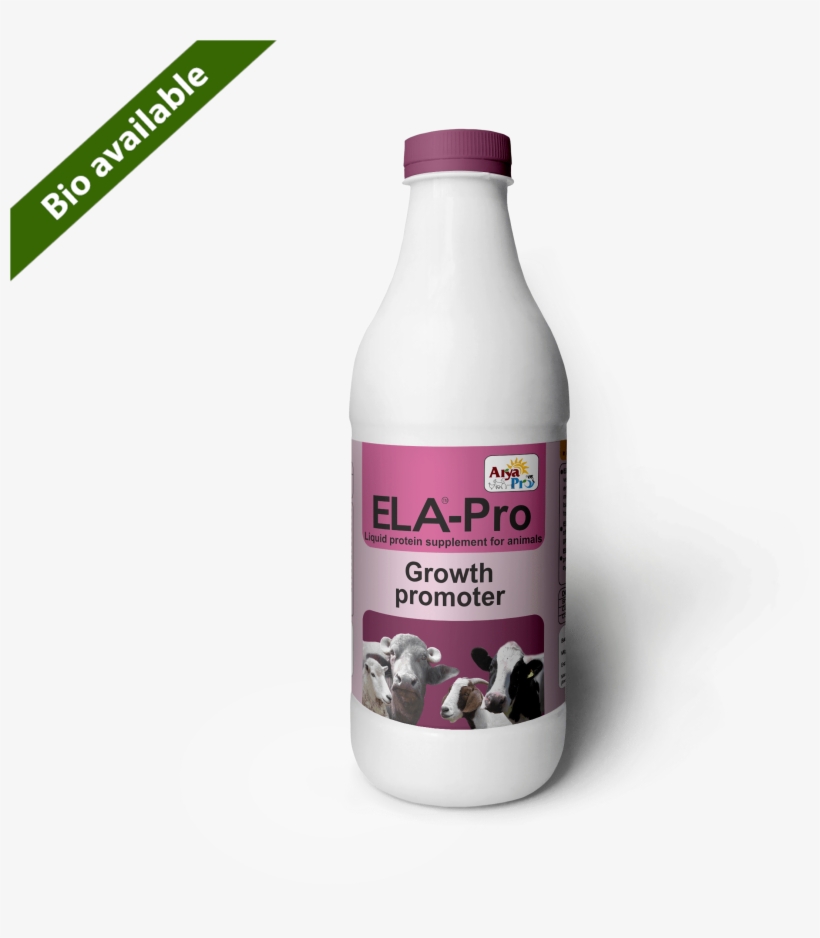 Ela Pro - Portable Network Graphics, transparent png download