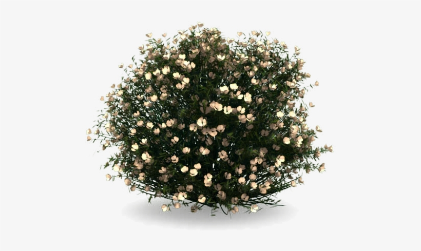 2) Importar Bloques De 3ds Max O Archmodels, Ya Que - Artificial Flower, transparent png download