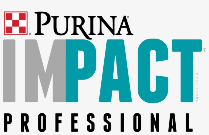 Purina Impact Professional Logo - Acts 17 11, transparent png download