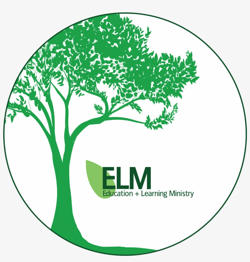 A New Education Initiative Is Starting Soon At Elmwood - Deine Worte Bleiben: Roman [book], transparent png download