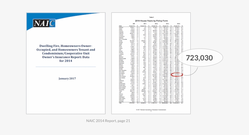Why The Drama 723,030 Was The Number Of New Yorkers - Renters Insurance Market Share, transparent png download