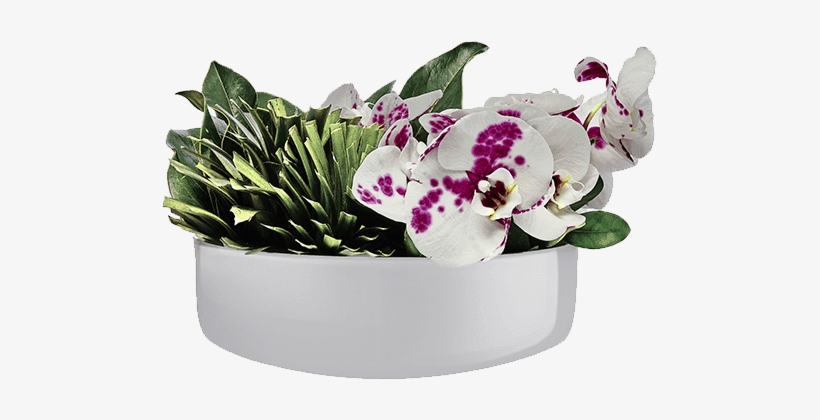 Bouquet, transparent png download