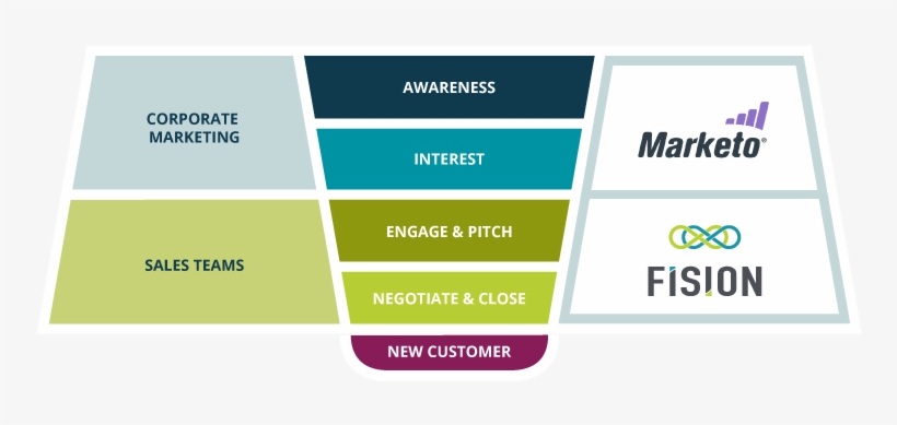 Do You Use Marketo To Execute A Campaign Management - Graphic Design, transparent png download