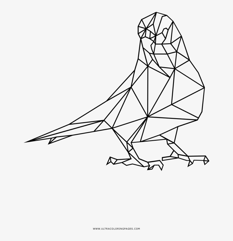 Parakeet Coloring Page - Parakeet, transparent png download