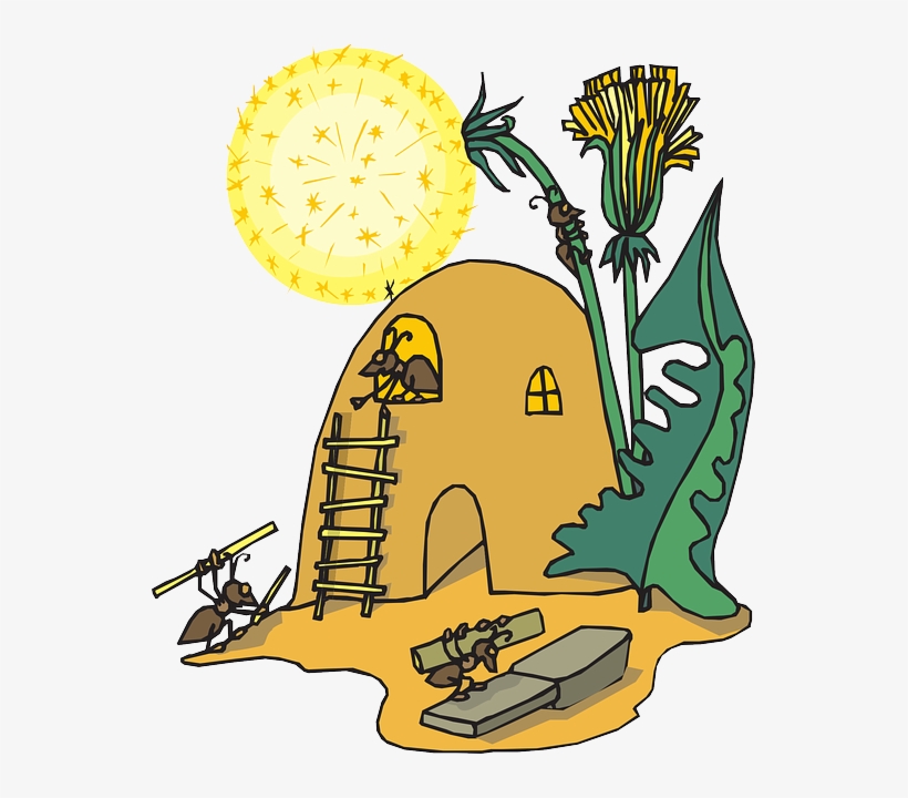 Home, Sand, Leaf, Flower, Ant, Hill, Insect, Dirt - Ant Home Clipart, transparent png download