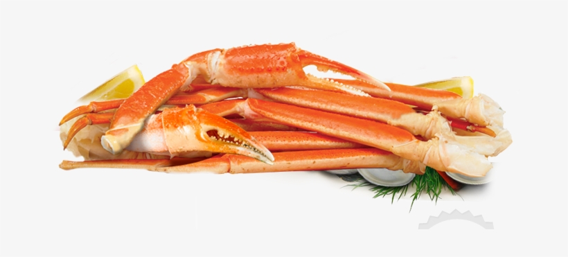 Crab Legs Png - Snow Crab Legs Meat, transparent png download