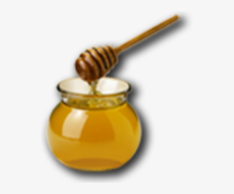 Honey - Clipart Images Of Honey, transparent png download