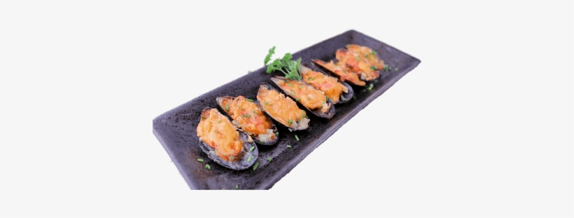 Download Free Seashells Transparent Pngs - Portable Network Graphics, transparent png download