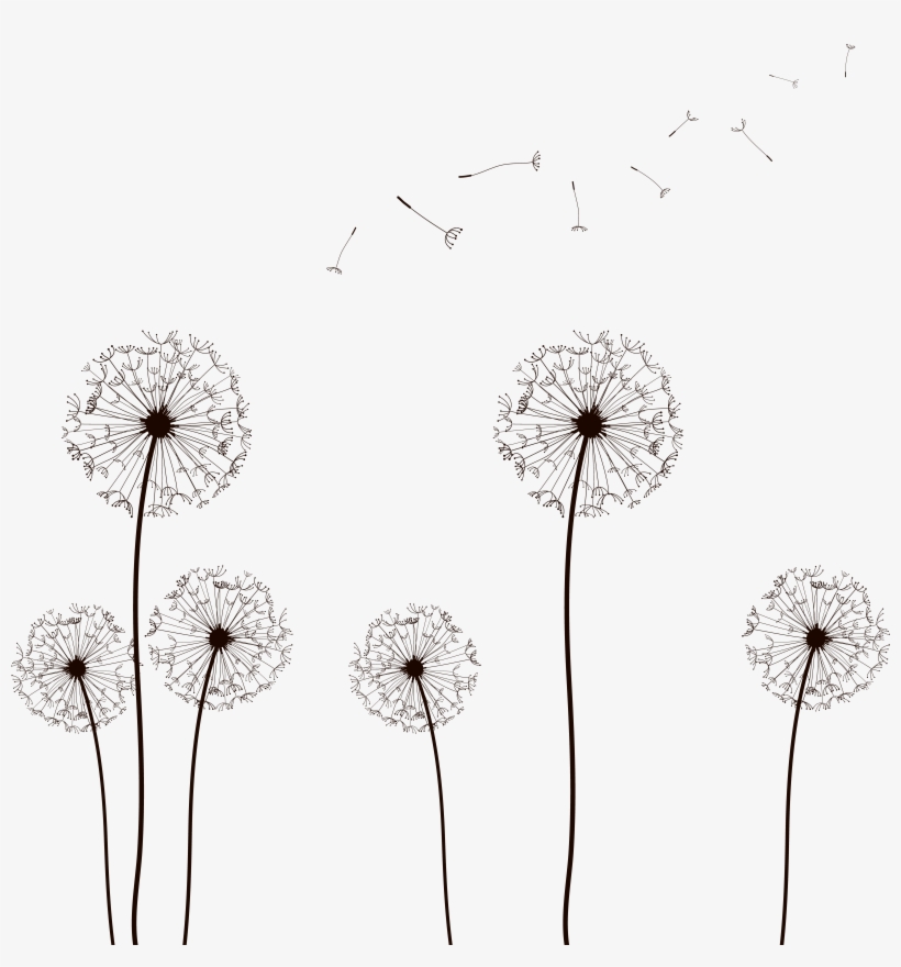 Vector Dandelion Vector 02 By Dragonart, transparent png download