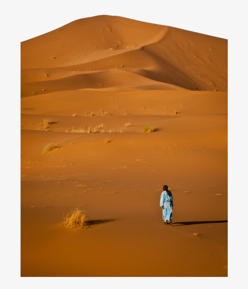 Gras Bochum - Bochum, transparent png download