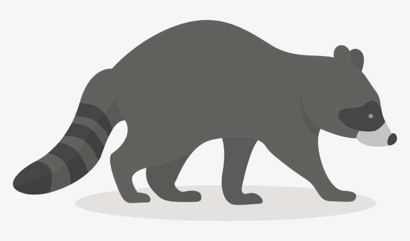 Raccoon, transparent png download