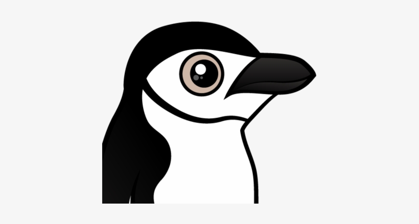 About The Chinstrap Penguin - Chinstrap Penguin Transparent, transparent png download