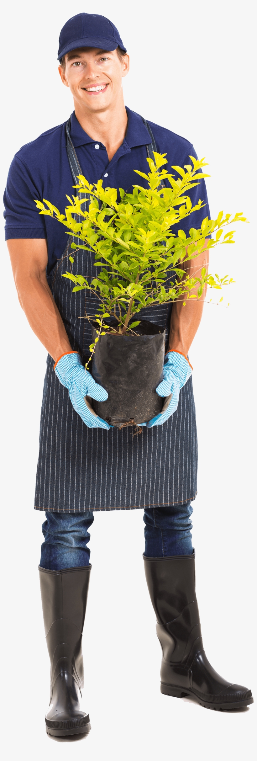 Honest And Dependable - Gardening Person Png, transparent png download