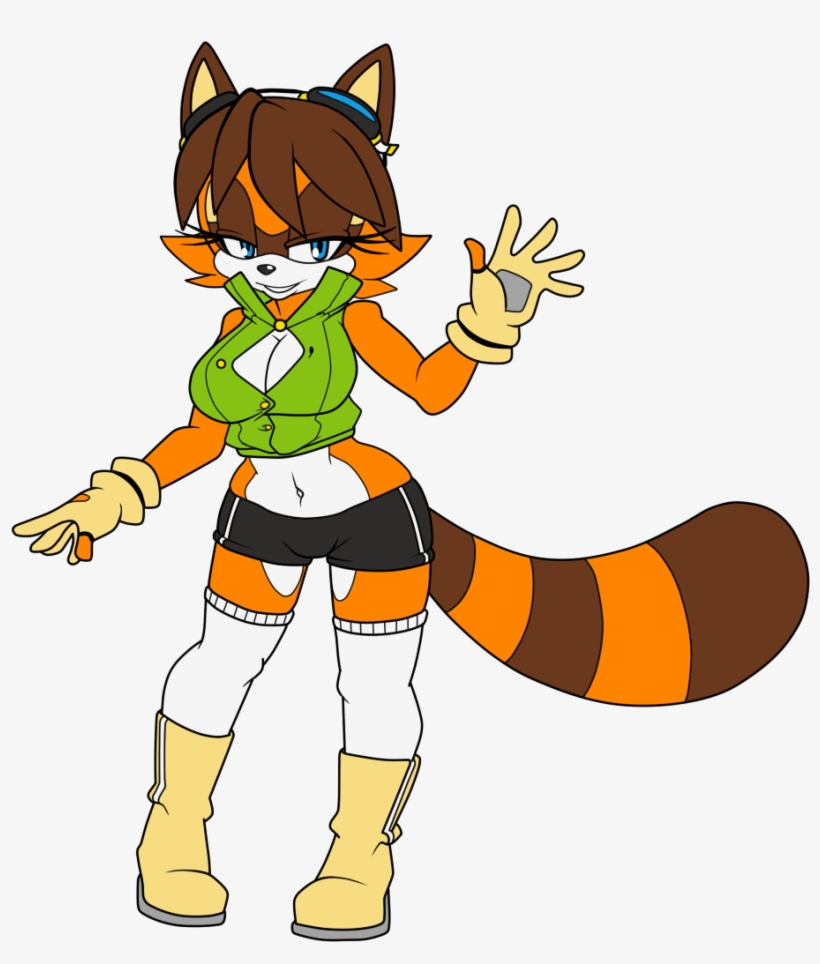 Naval The Raccoon - Cartoon, transparent png download