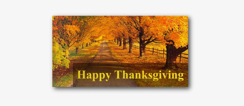 Happy Thanksgiving To You And Your Family - Happy Thanksgiving And Gratitude, transparent png download