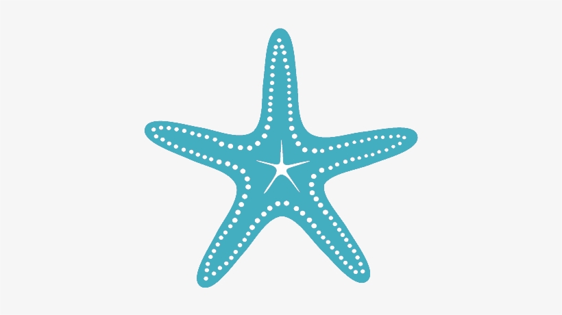 Anna Maria Island Vacation Rentals - Afghan, transparent png download