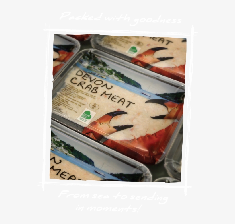 Our Facilities Are Haccp Accredited And We Continue - Poster, transparent png download