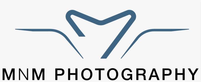 Indian Wedding Photographers In Houston - Graphics, transparent png download