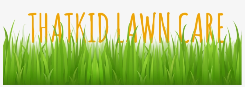 Lawn Mowing - Trimming - Watering - Edging - Thatching - Grass Vector Free, transparent png download