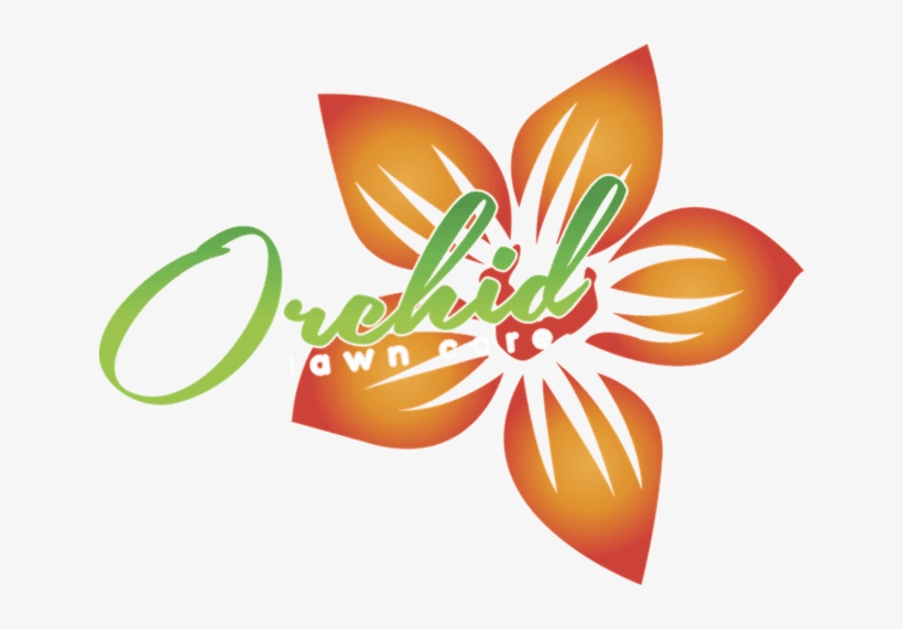 Orchid Lawn Care - Lawn, transparent png download