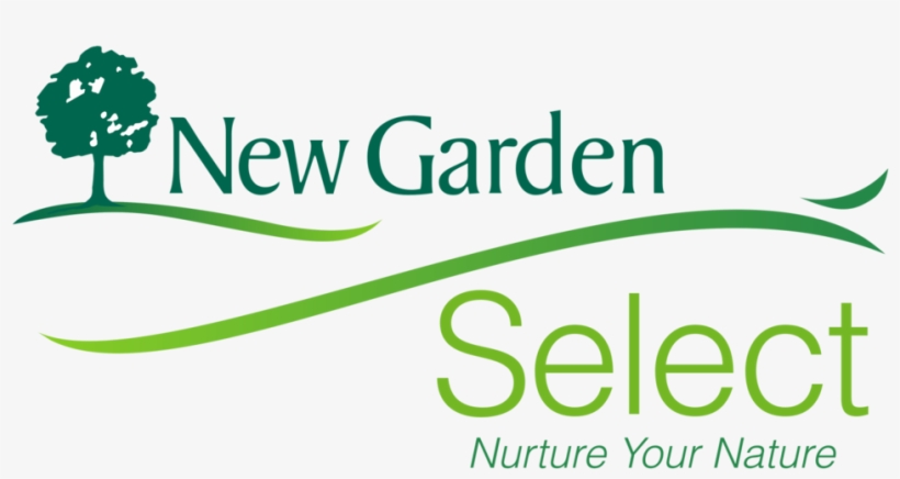 Portable Network Graphics, transparent png download