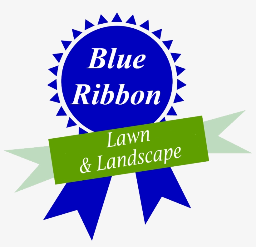 Cheyenne Lawn Care, Blue Ribbon Lawn & Landscape, Insta - Balanced State, transparent png download
