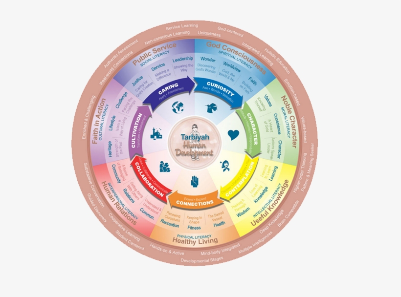 See Chart Below - Curriculum, transparent png download